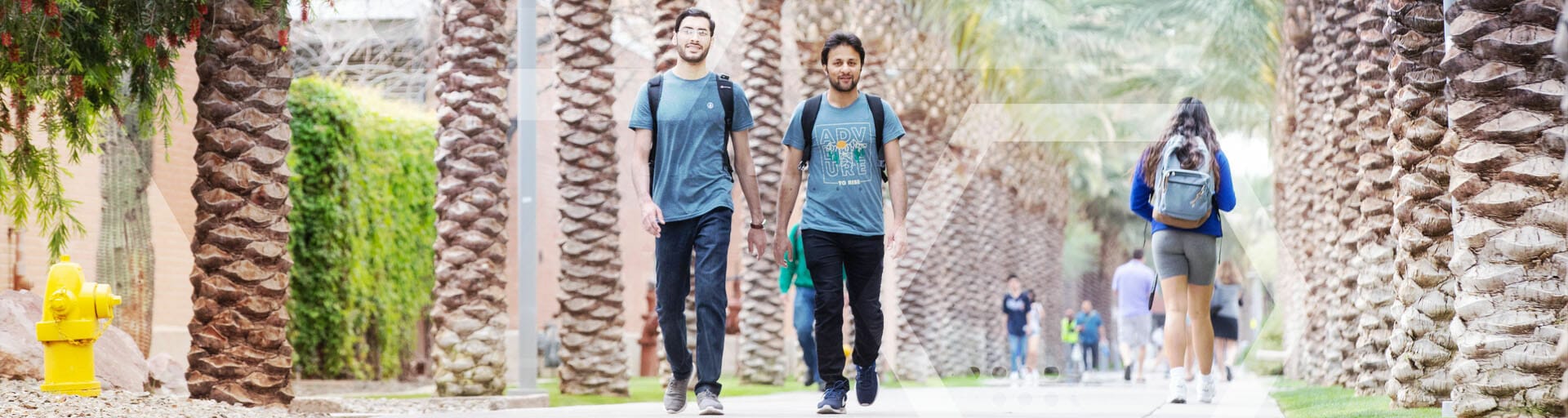 students walking down palm walk