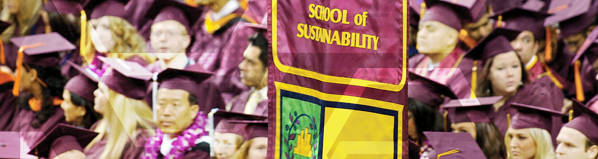 
		school of sustainability graduation		