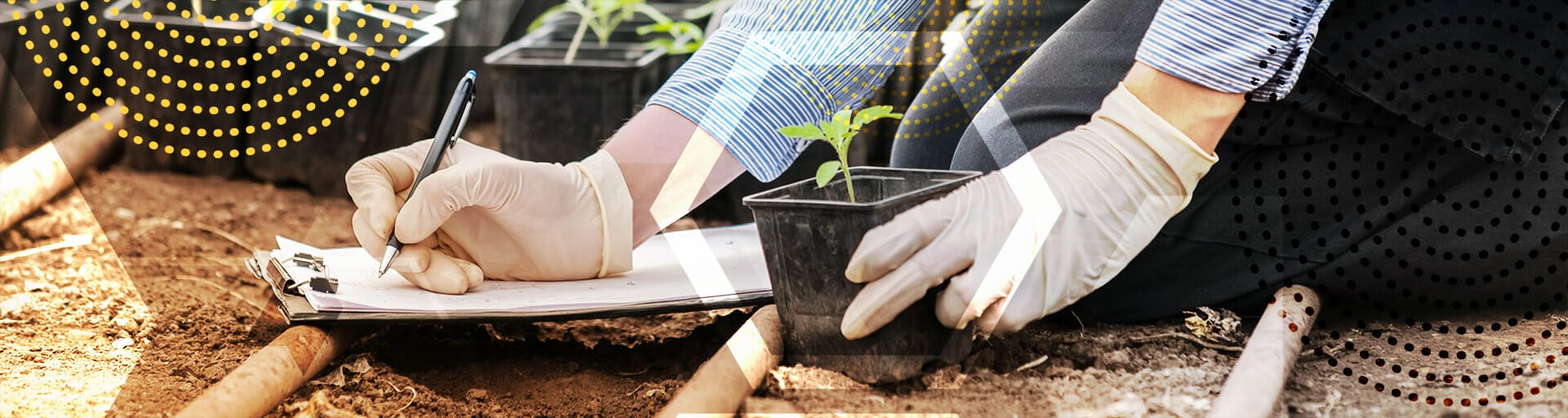 student planting a plant