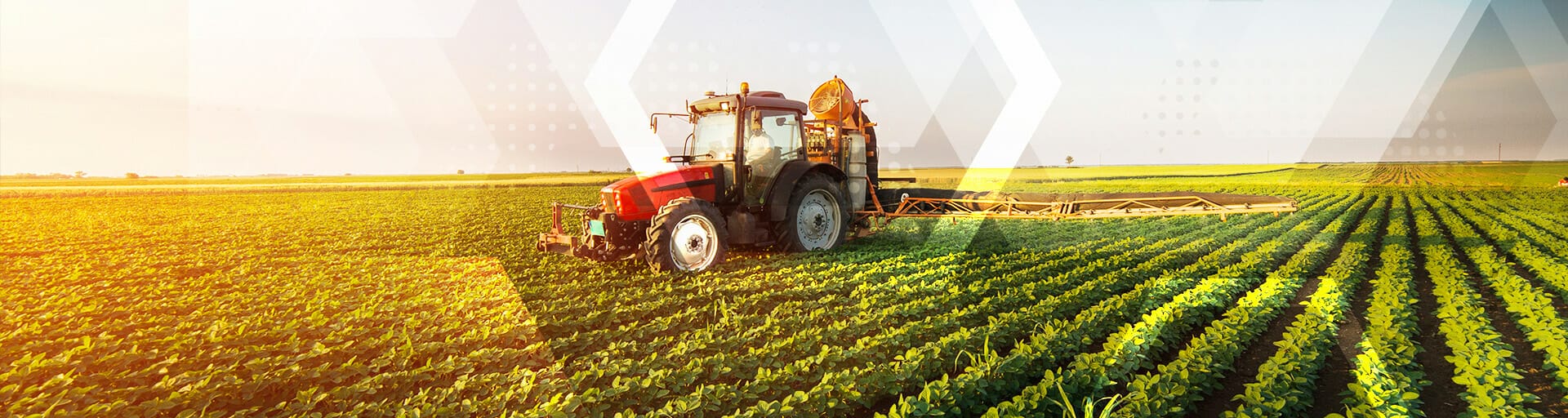 tractor in a field